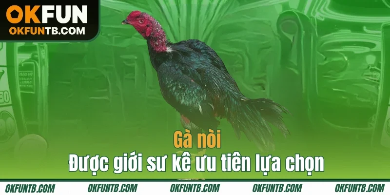 Gà nòi được luôn nằm trong top được ưu tiên lựa chọn